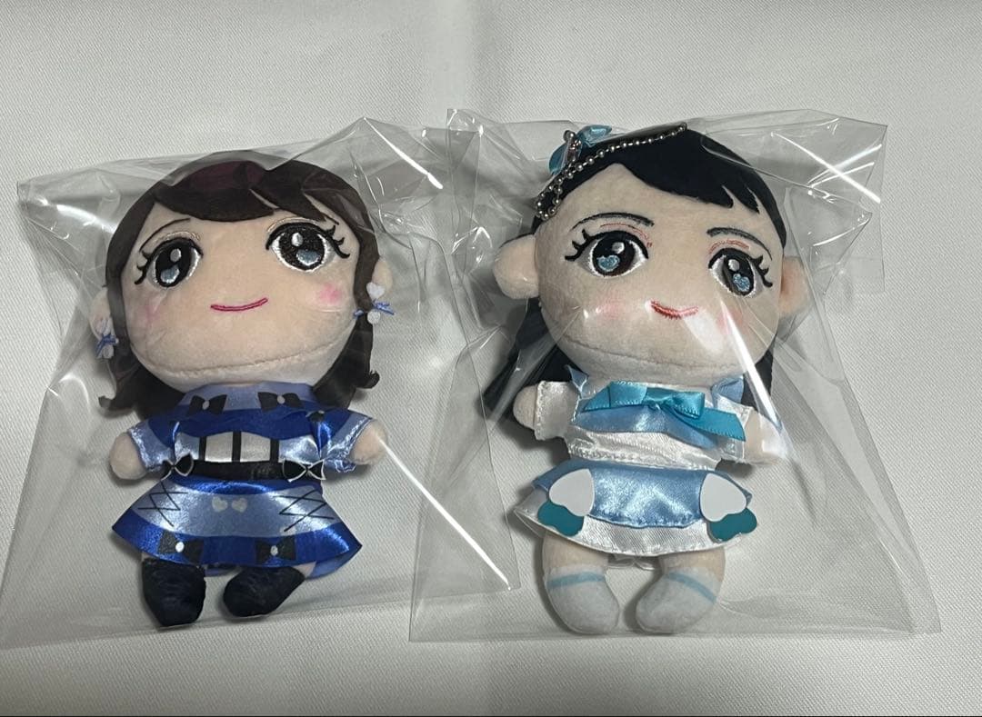 超ときめき♡宣伝部 辻野かなみ ぬいぐるみ 2点セット - メルカリ
