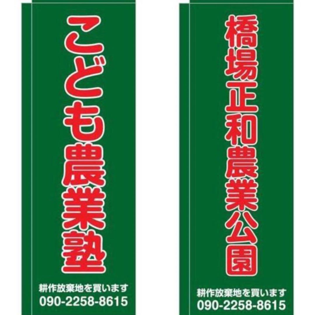 こころの風景コレクション【志賀納　宵の路地（京都・先斗町）】60％お値引き！！