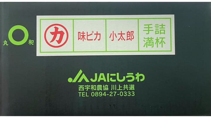 超希少！！最高級みかん！！愛媛県産【小太郎】Sサイズ 約30玉 2kg