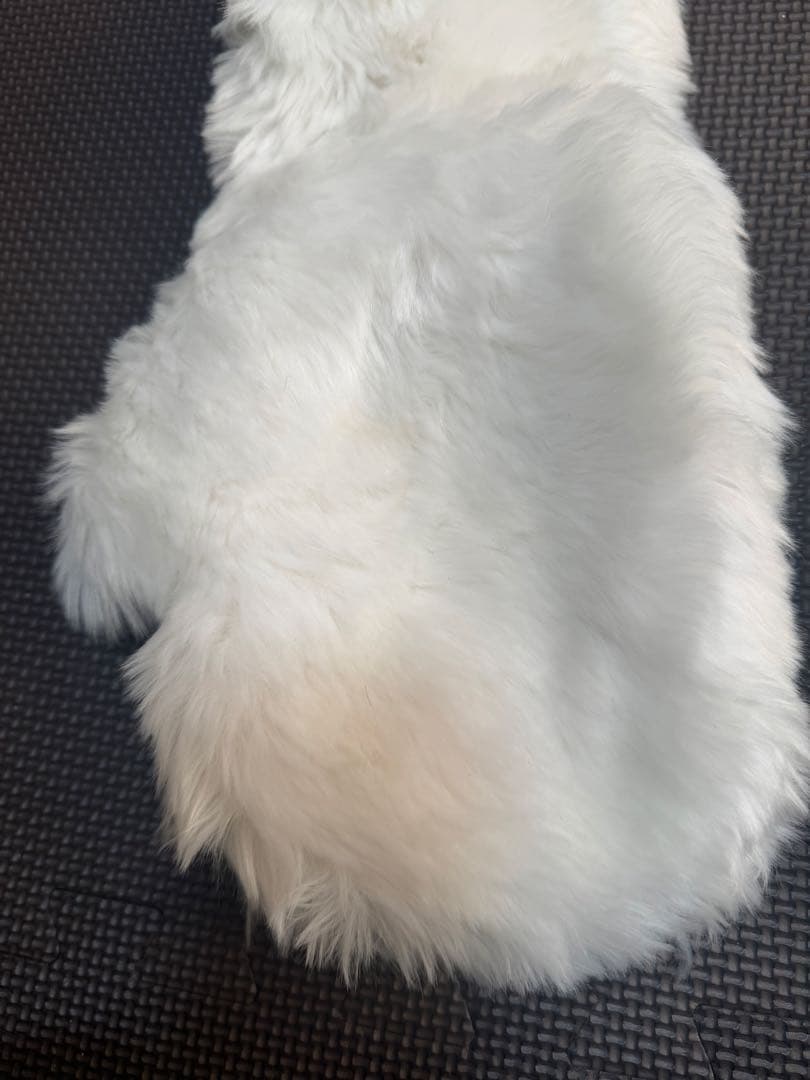 ディズニー マリーちゃんマフラーファンキャップ　値下げ可能