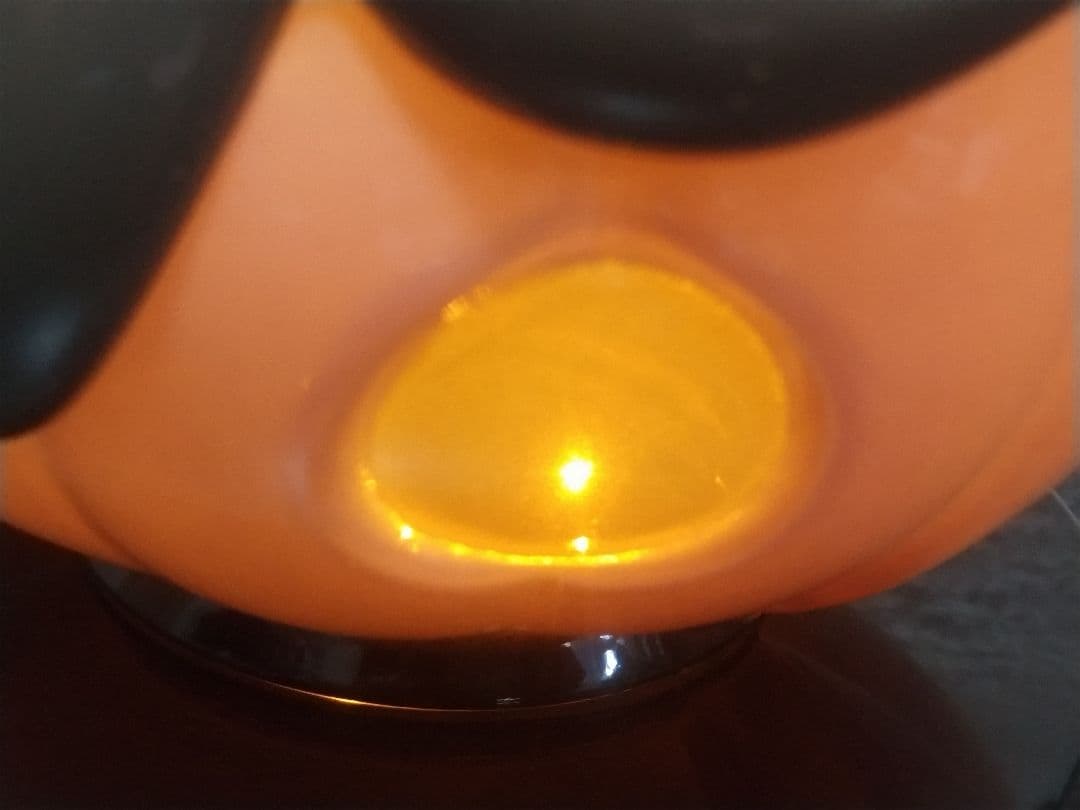 LEDライト　バケッチャ　ポケモンセンター