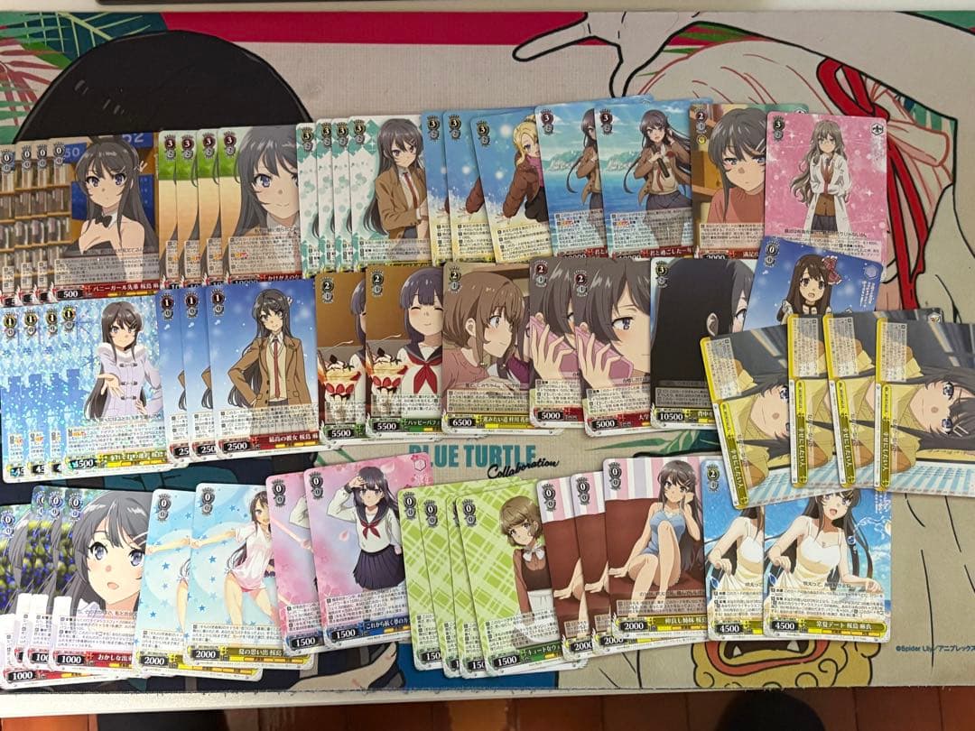 ヴァイスシュヴァルツ　青ブタデッキ+α