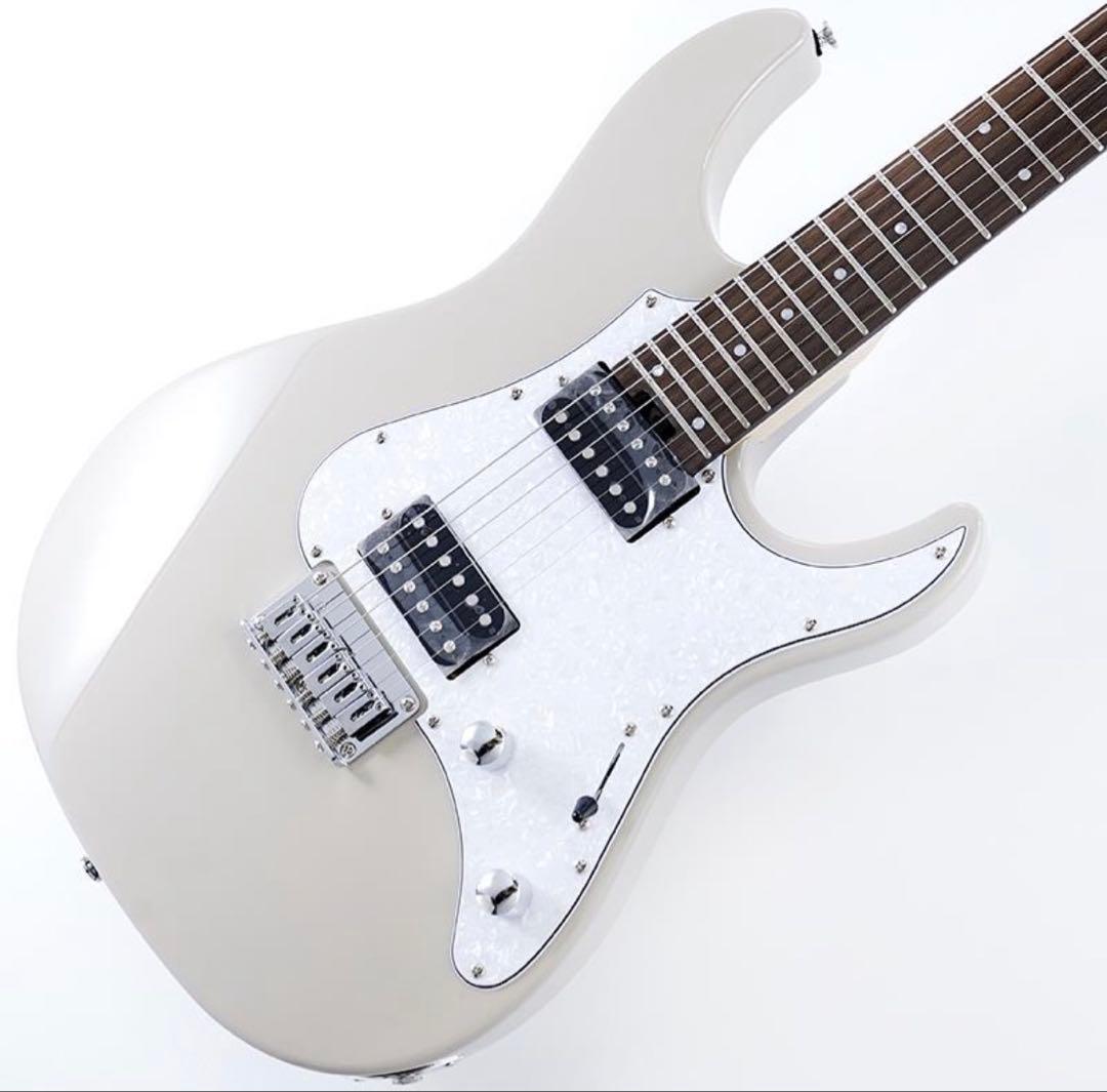 ギター grassroots g-sn-45dx(gray)