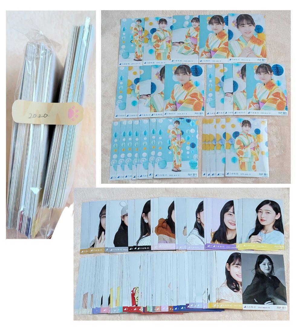 【大量2000↑】 向井葉月 生写真 セット まとめ売り