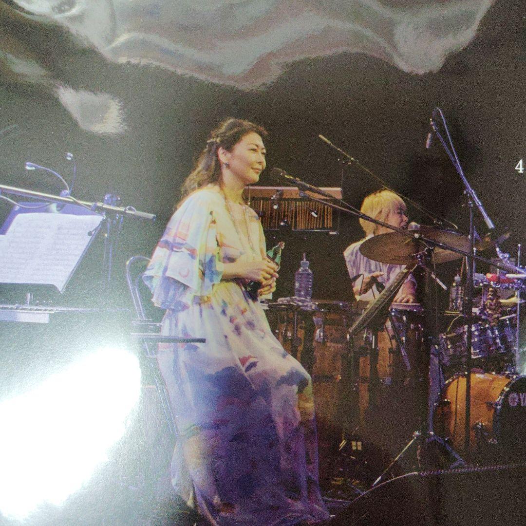 中山美穂会員限定『Langue de Chat Journal-vol.1』新品