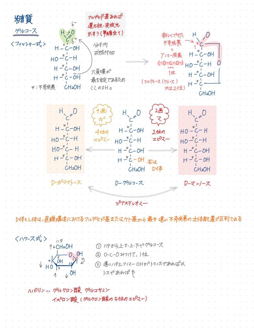 薬剤師国家試験対策 まとめノート 全科目セット 薬学部 - メルカリ