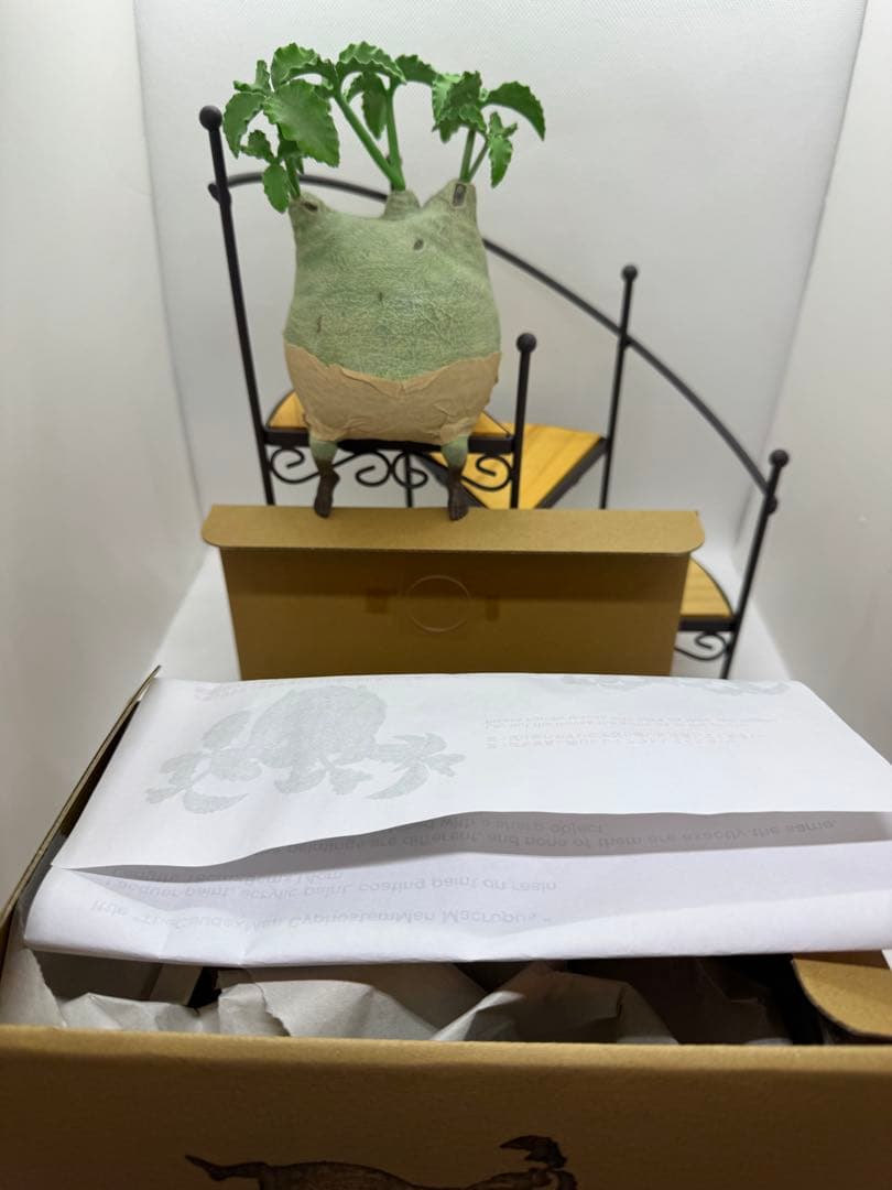 【美品】ozwrt TheCaudexMan CyphostemMan