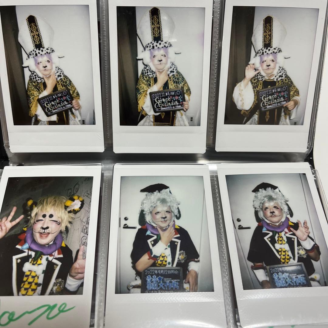 BabyKingdom チェキ