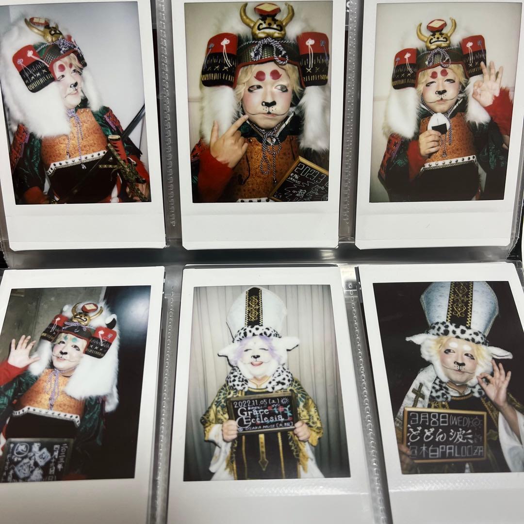 BabyKingdom チェキ