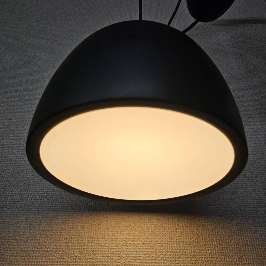 （フリッツ・ハンセン） /(サスペンス)　P1：φ240mm③ サスペンス ペンダントライト P1 / ブラックFRITZ HANSEN（フリッツ