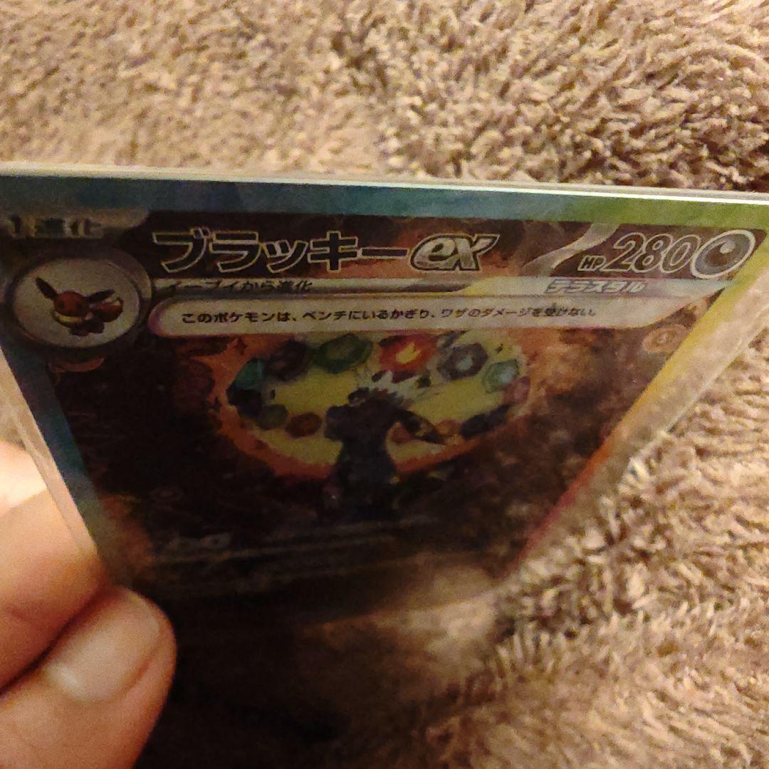 テラスタルフェス ブラッキーEX SAR 280HP