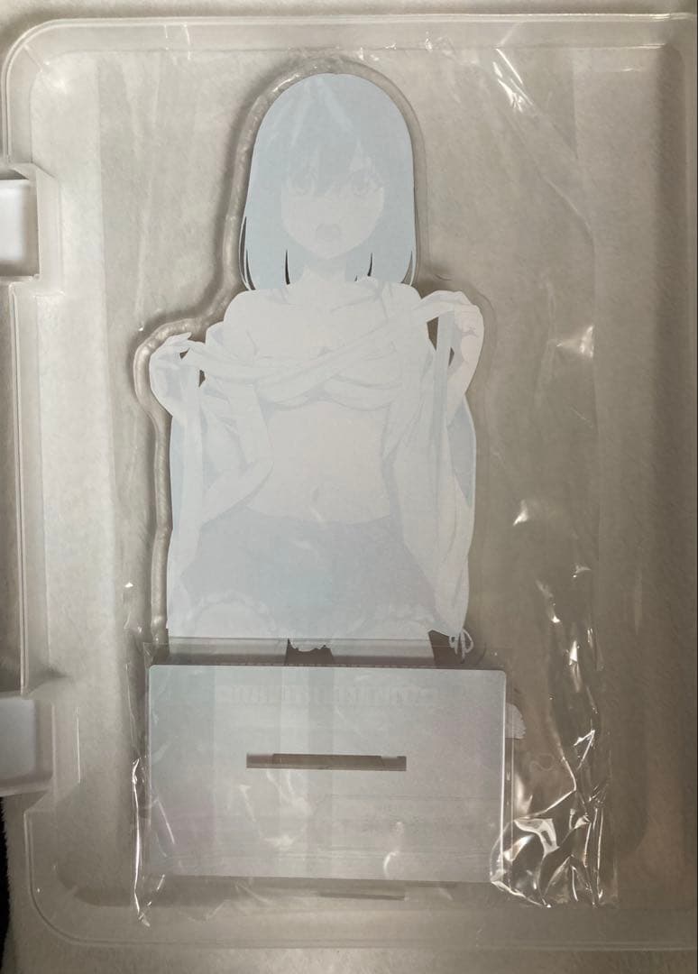 ストライク・ザ・ブラッドFINAL 抽選 A賞 特大アクリルフィギュア 姫柊雪菜