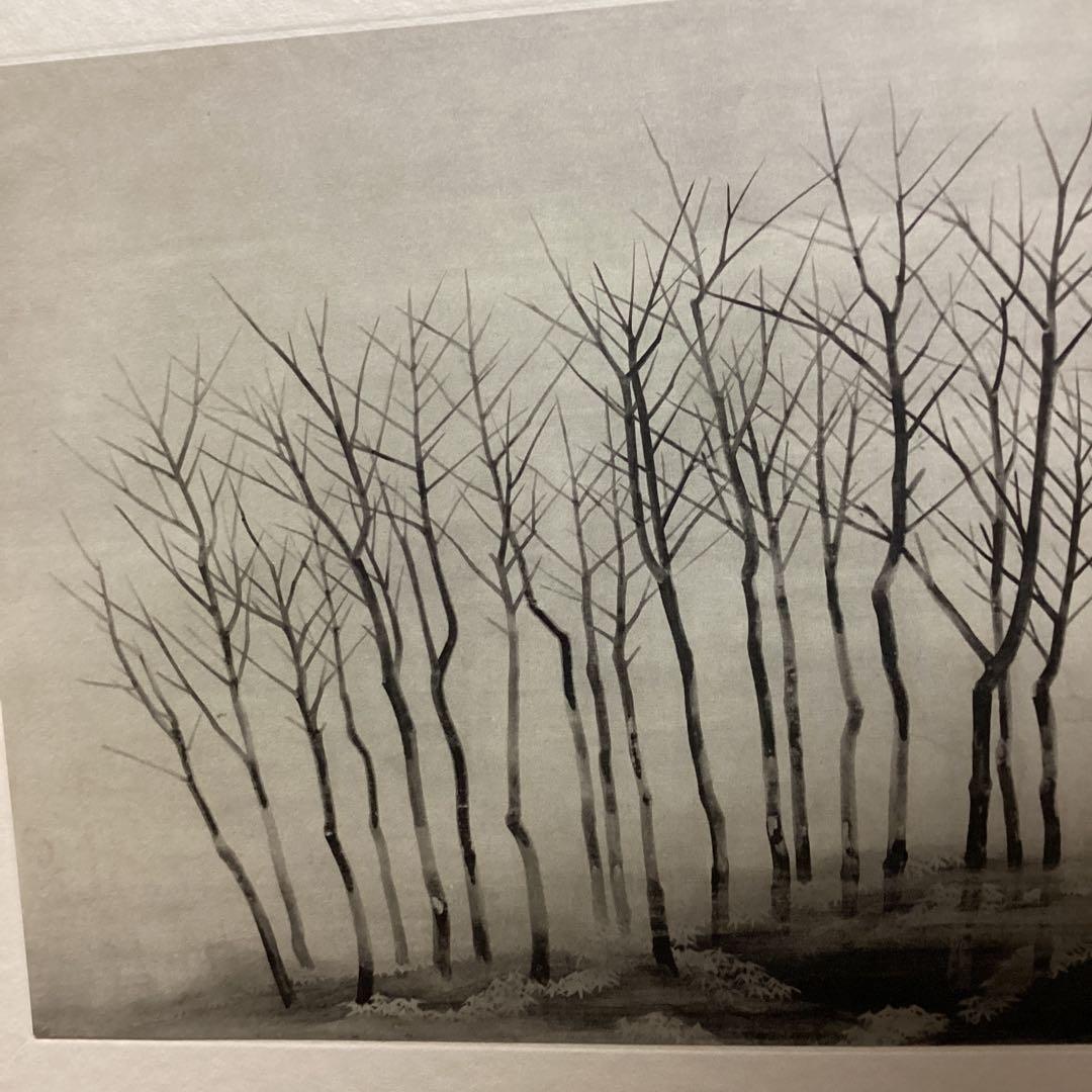 天才画家　速水御舟　作品集大作編　便利堂監修　画集NO 34 【寒　林】