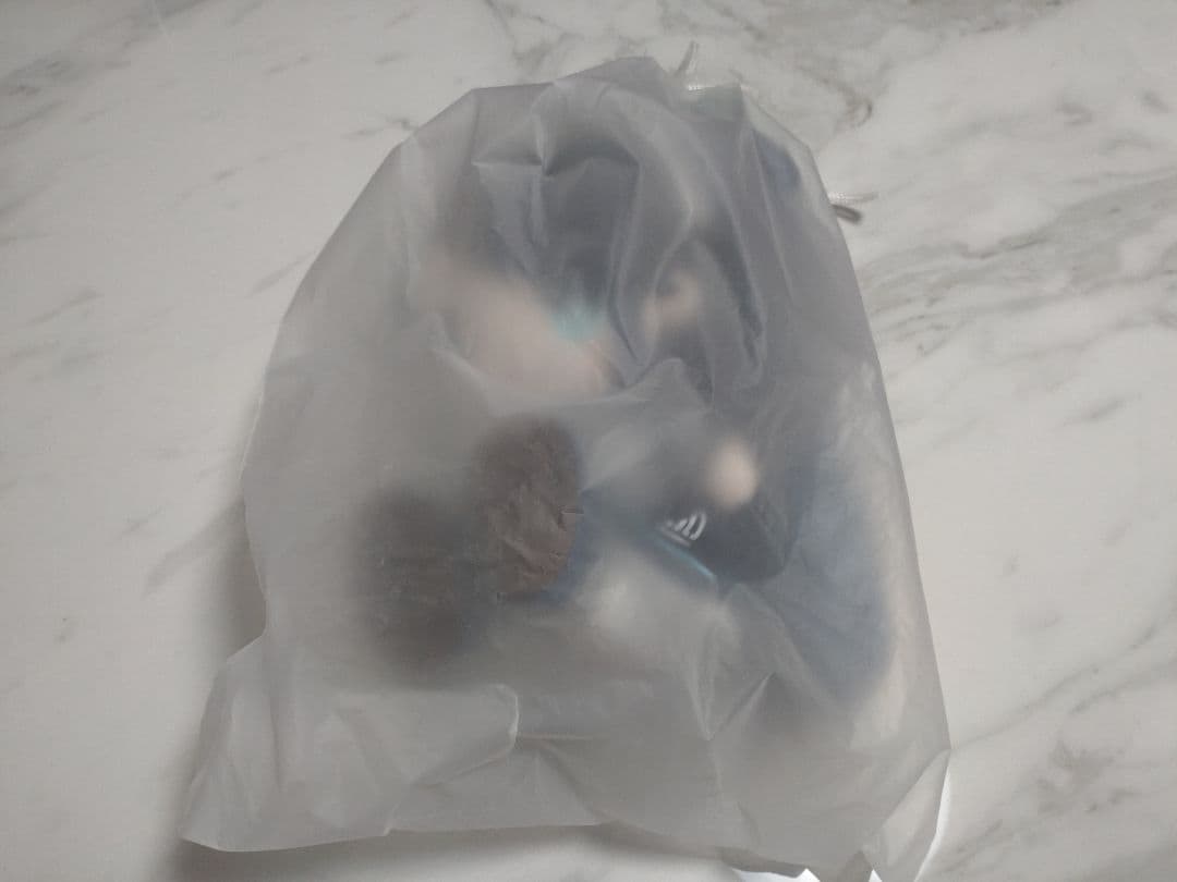 会場限定・中国限定】ブルーアーカイブ BW2025【メイドアリス】ぬいぐるみ