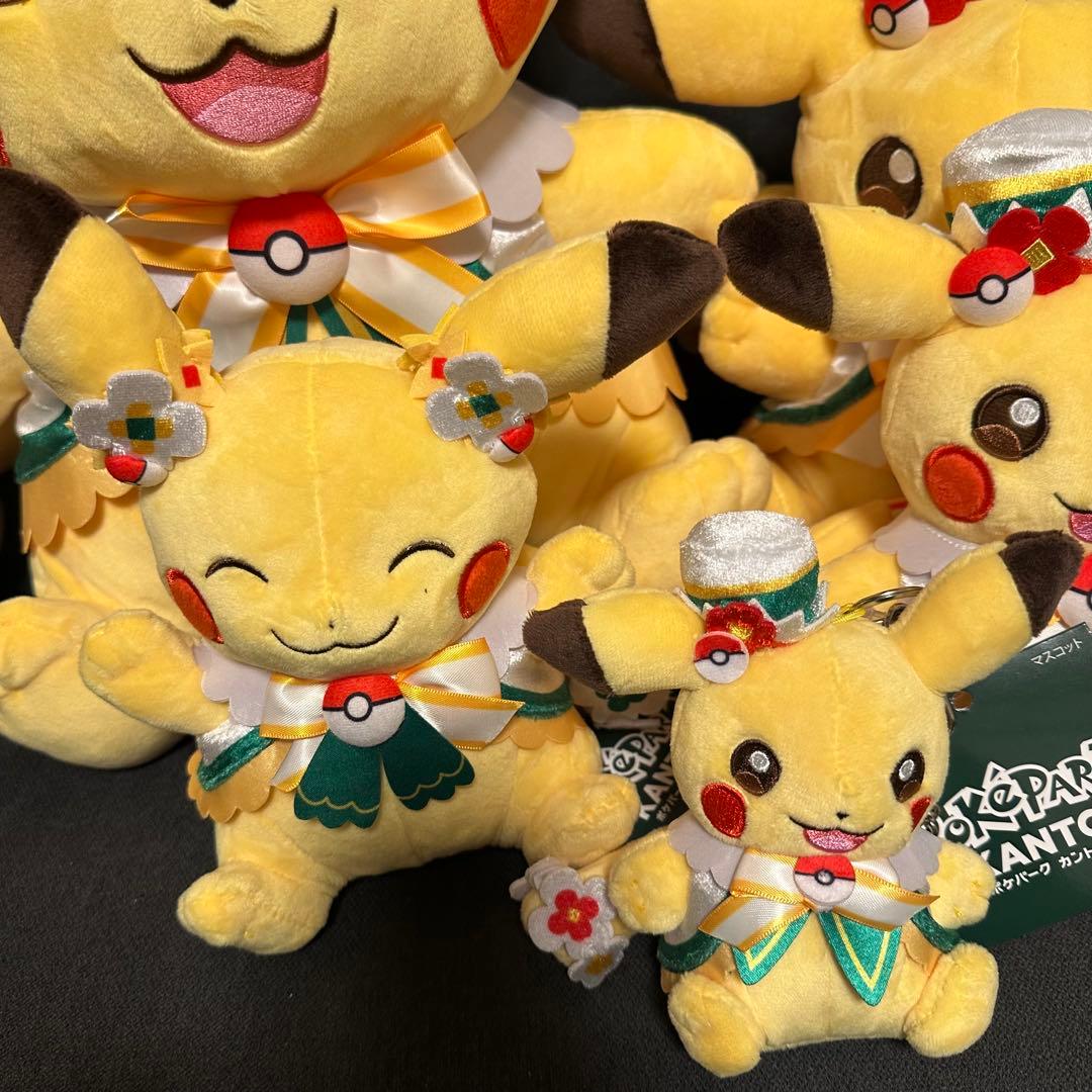 新品！ ポケパーク カントー ショップ 限定 ピカチュウ ぬいぐるみ5体