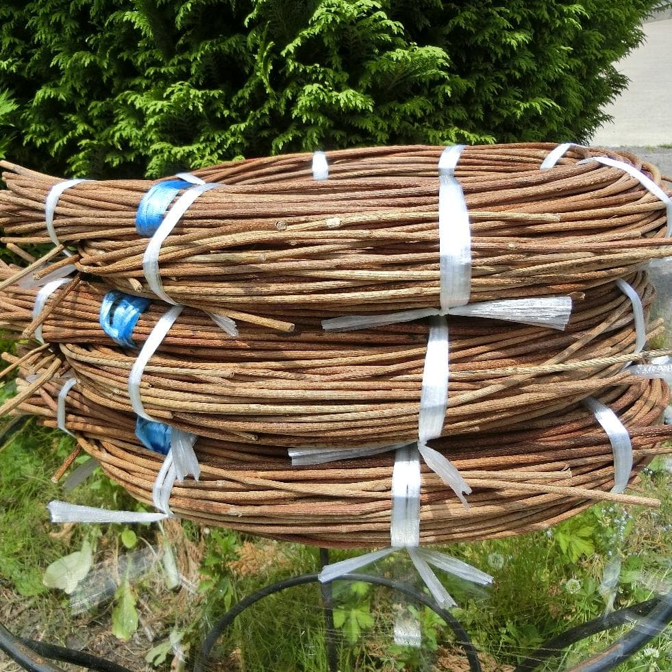 なつ（╹◡╹）♡様専用 青森県岩木山採取 あけび蔓 150cm～ 3kg