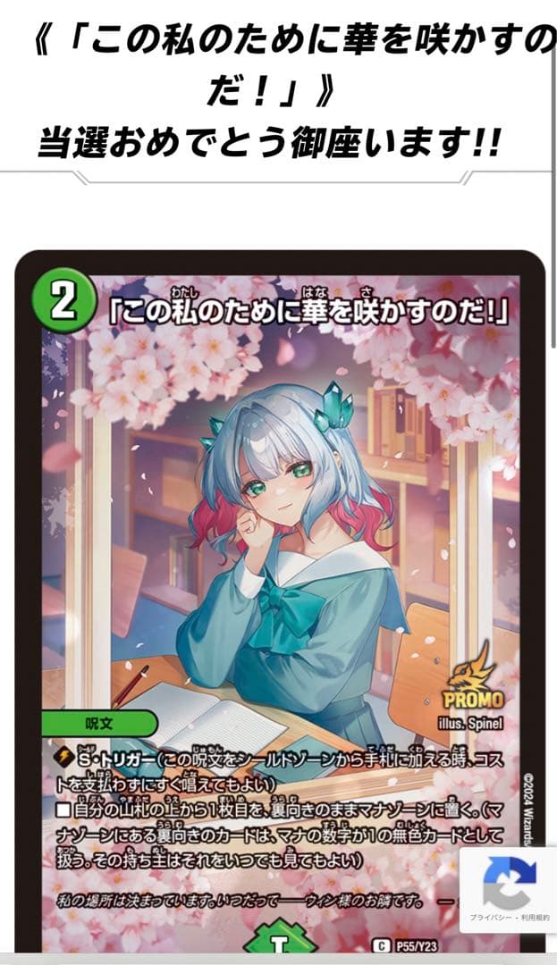 この私のために華を咲かすのだプロモ - メルカリ