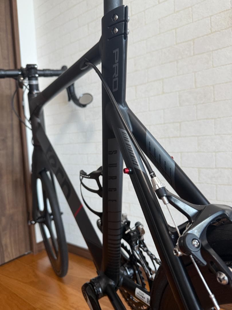 ゆうき様専用】2023 tern surge pro 限定カラー - メルカリ