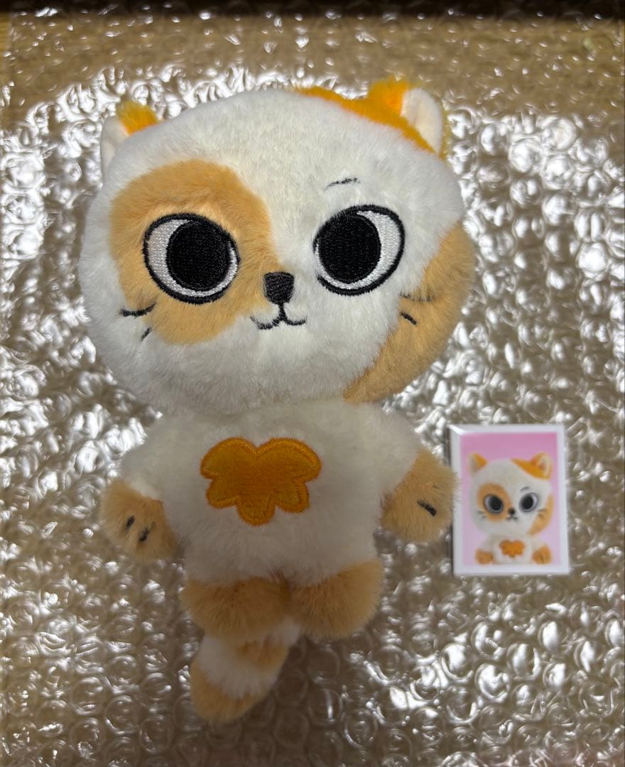 BOYNEXTDOOR BBNEXDO プネクド ケッピ ソンホ キーリング - メルカリ