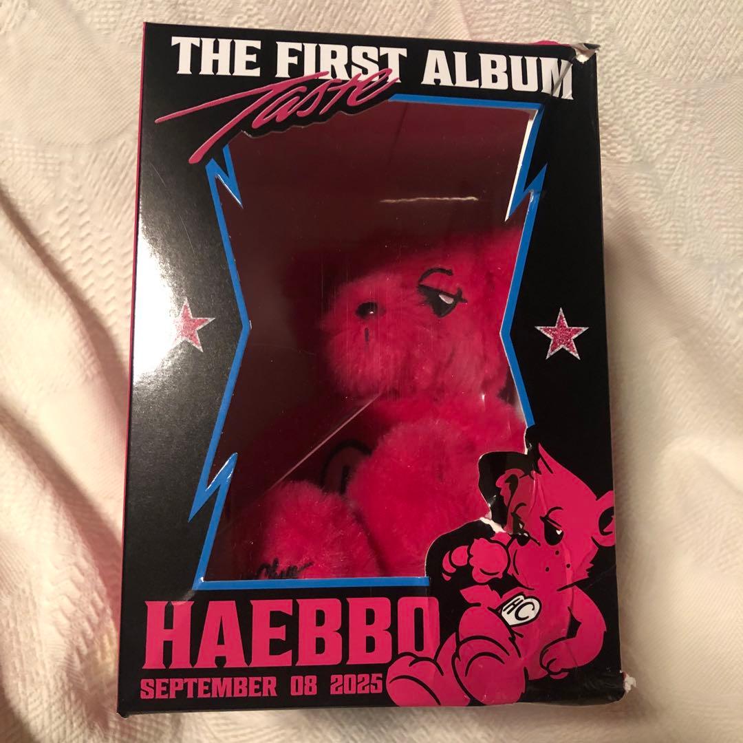 NCT ヘチャン ぬいぐるみ25CM DOLL SET TASTE MD