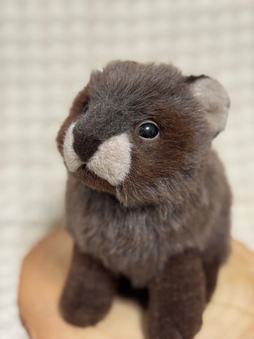 【最終値下】やまね工房　たぬき　タヌキ　ぬいぐるみ　日本製 Amazon.co.jp: 吉徳 りくのなかまたち ぬいぐるみ タヌキ 180345