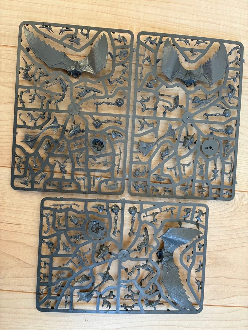 ウォーハンマーAOS テラドン・ライダー｜リッパーダクティル・ライダー