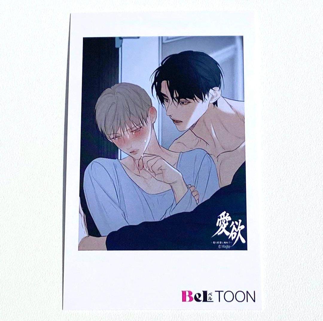 J.GARDEN J庭 春庭 ベルトゥーン beltoon チェキ 愛欲 - メルカリ