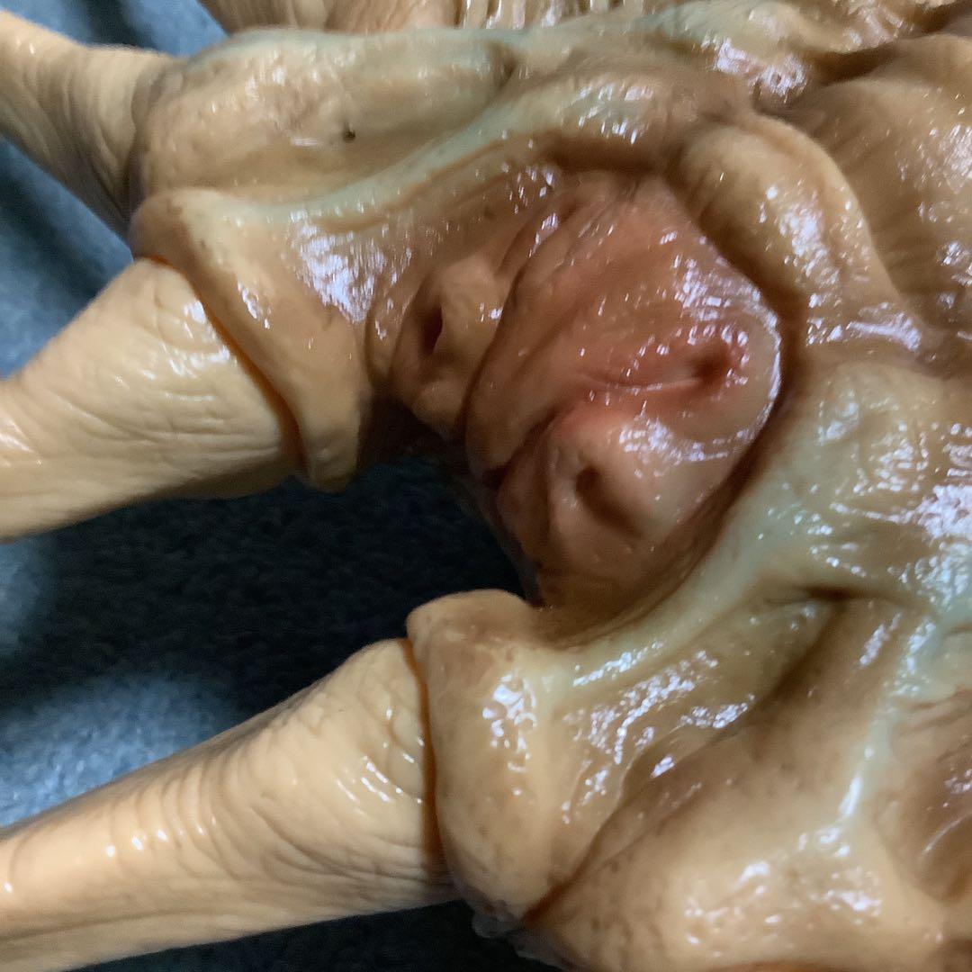 エイリアン★ソフビ★ガレージキット★フェイスハガー★1/1実物大★完成品★ツクダ