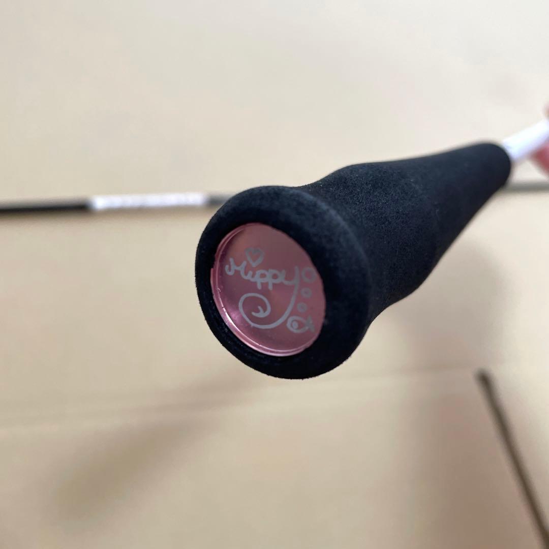 秋丸美穂 紅牙 AIRTYPE-N 65MB TG AM ダイワ みっぴ モデル - メルカリ