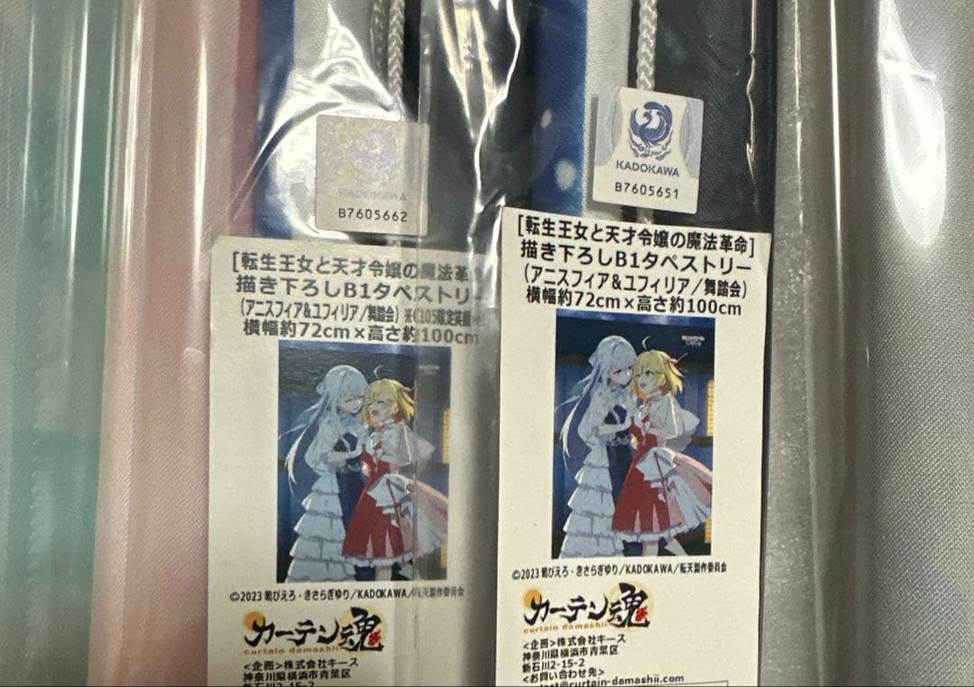 転生王女と天才令嬢の魔法革命　タペストリー　12種