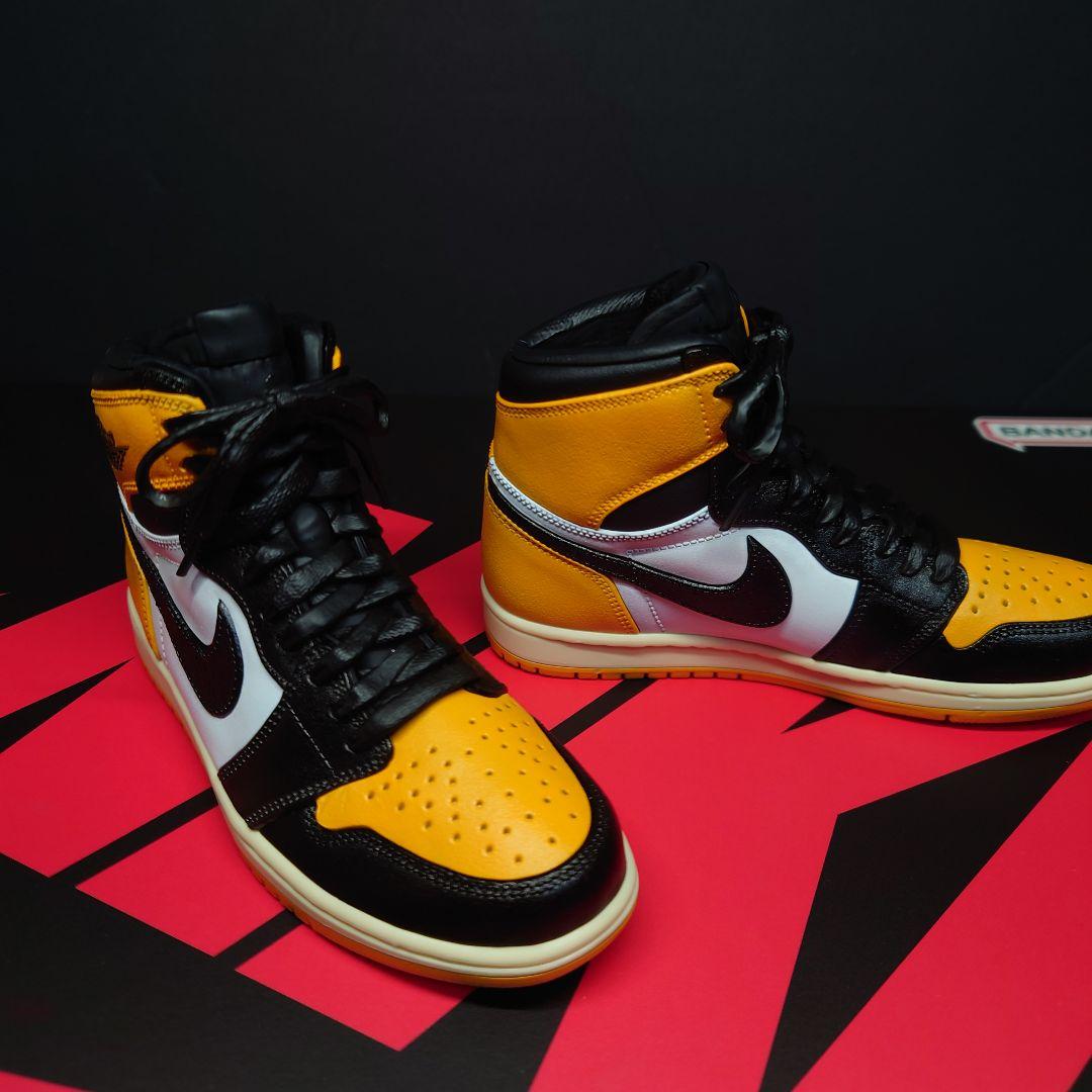 NIKE AIR JORDAN 1 MODEL KIT　塗装済み完成品　箱付き