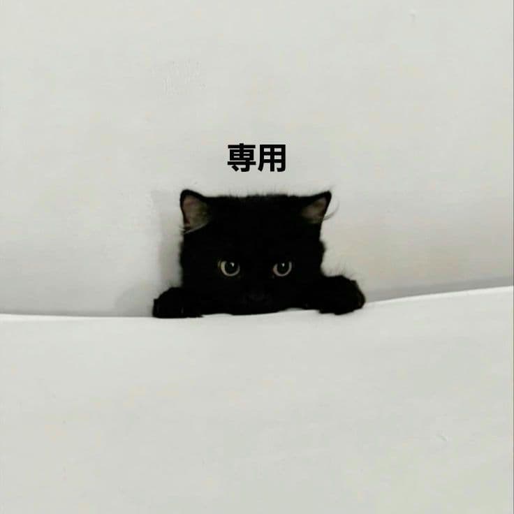 Thek4senCon2025 VAXEEマウスパッド 他 グッズセット - メルカリ