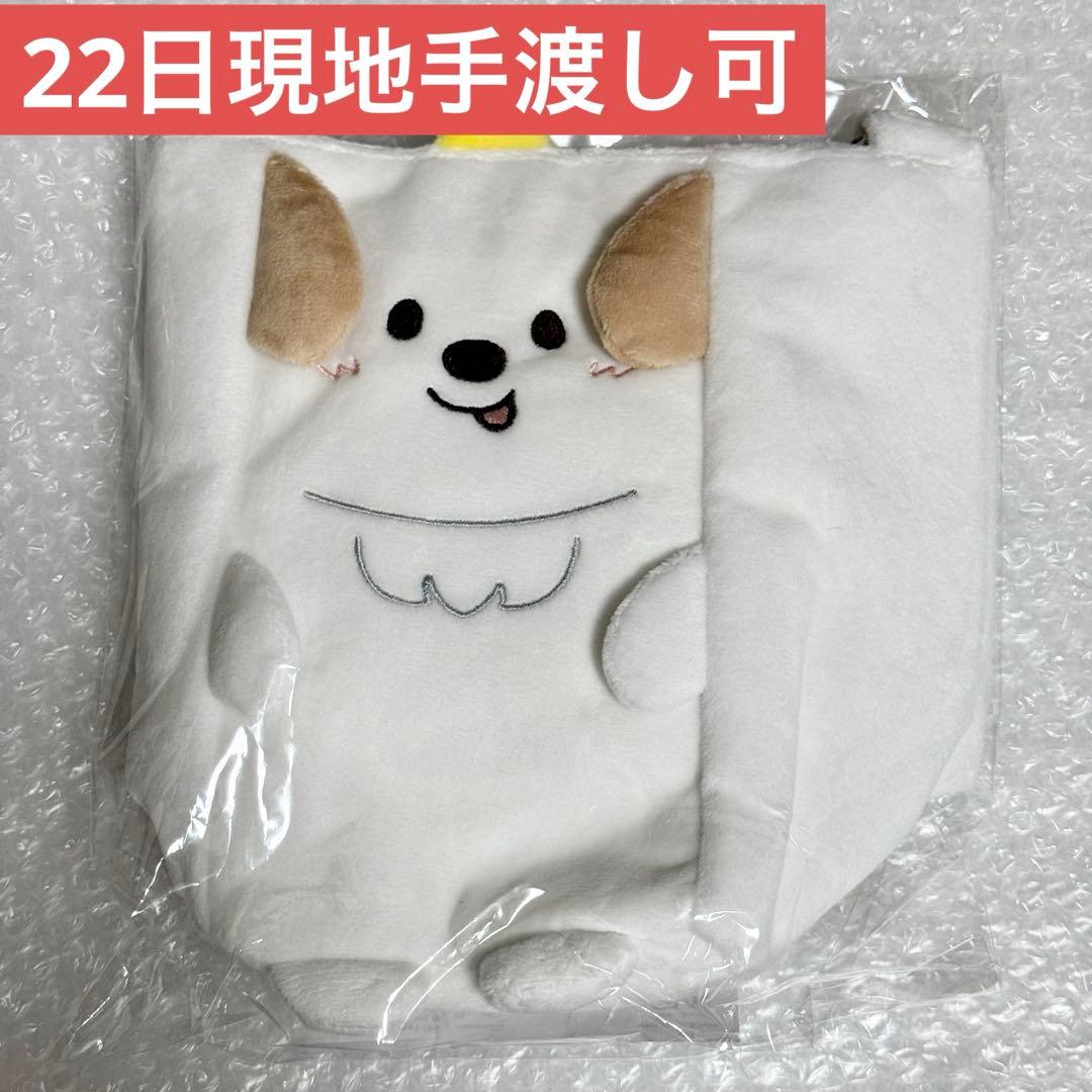 RIIZE RIIZING LOUD ペンライトバッグ アントン - メルカリ