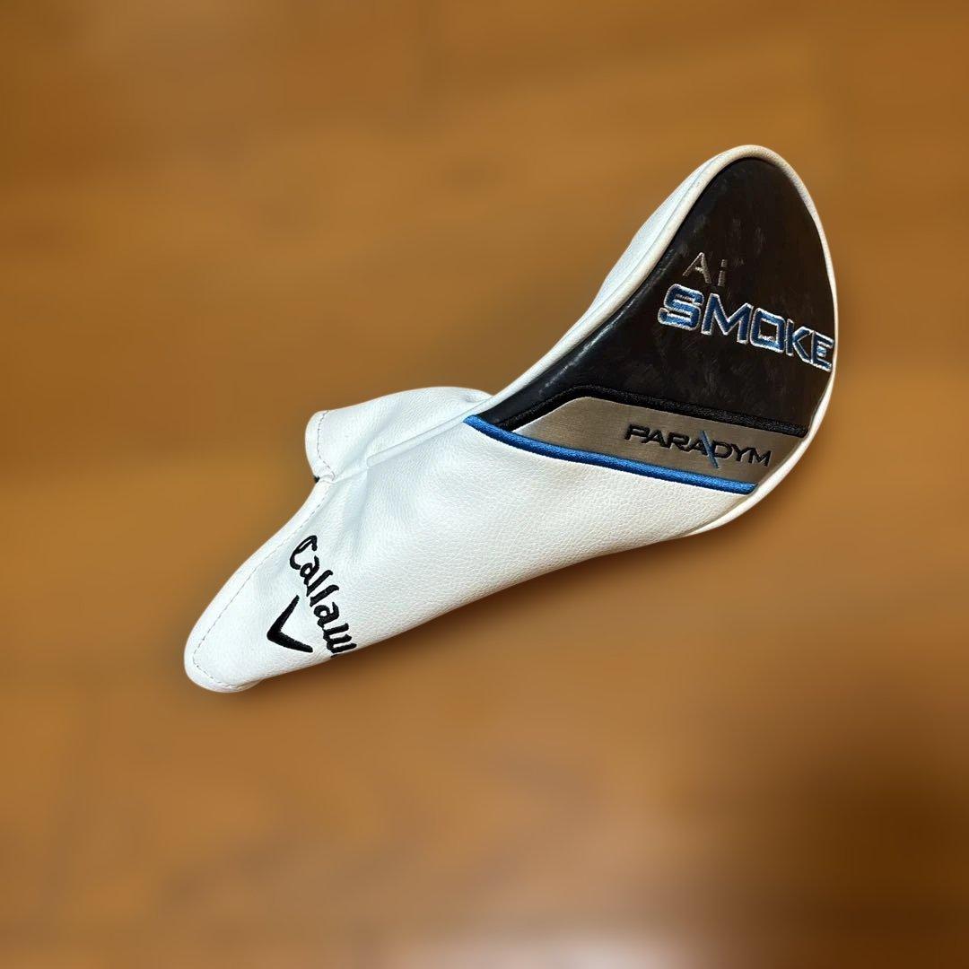 AIスモーク トリプルダイヤ3W シンカグラファイトLOOP FW FIVE - メルカリ