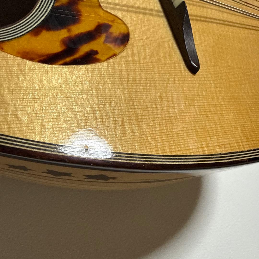 石川捷二郎監修 Venezia マンドリン M-50 ハードケース付 - メルカリ