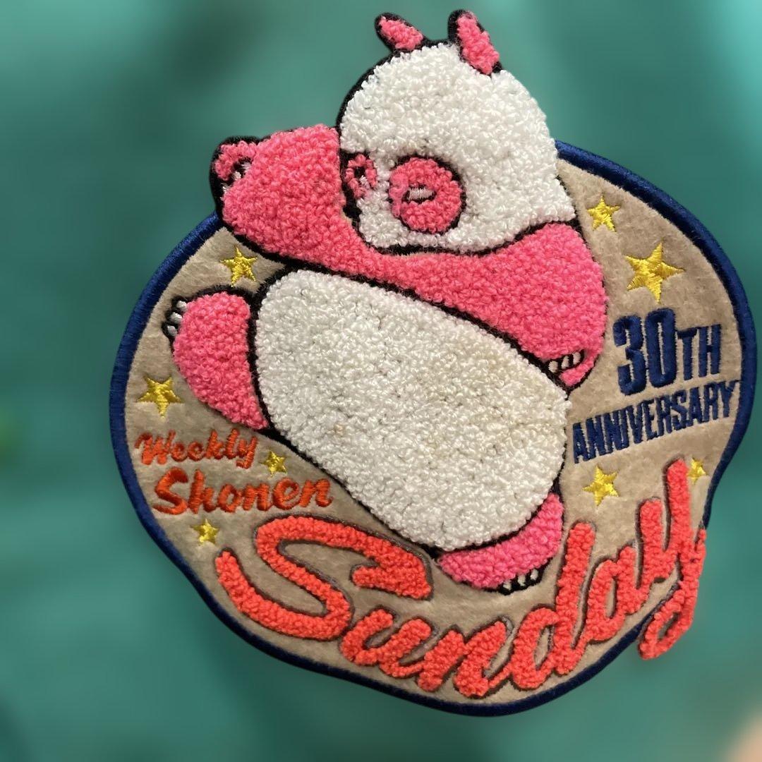 【レア】らんま1/2 スタジャン　少年サンデー30周年