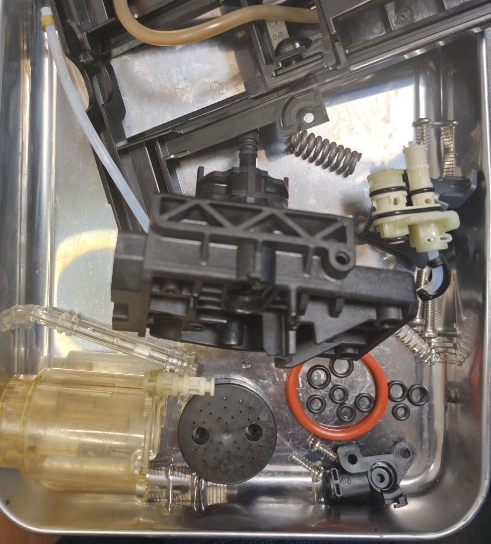 蝮【完全オーバーホール】503：ECAM29064Bマグニフィカ：ＥＶＯ