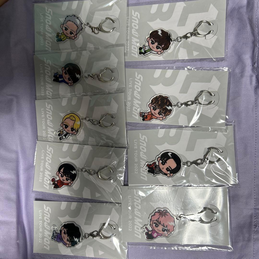 すのチル アクリルキーホルダー 9個