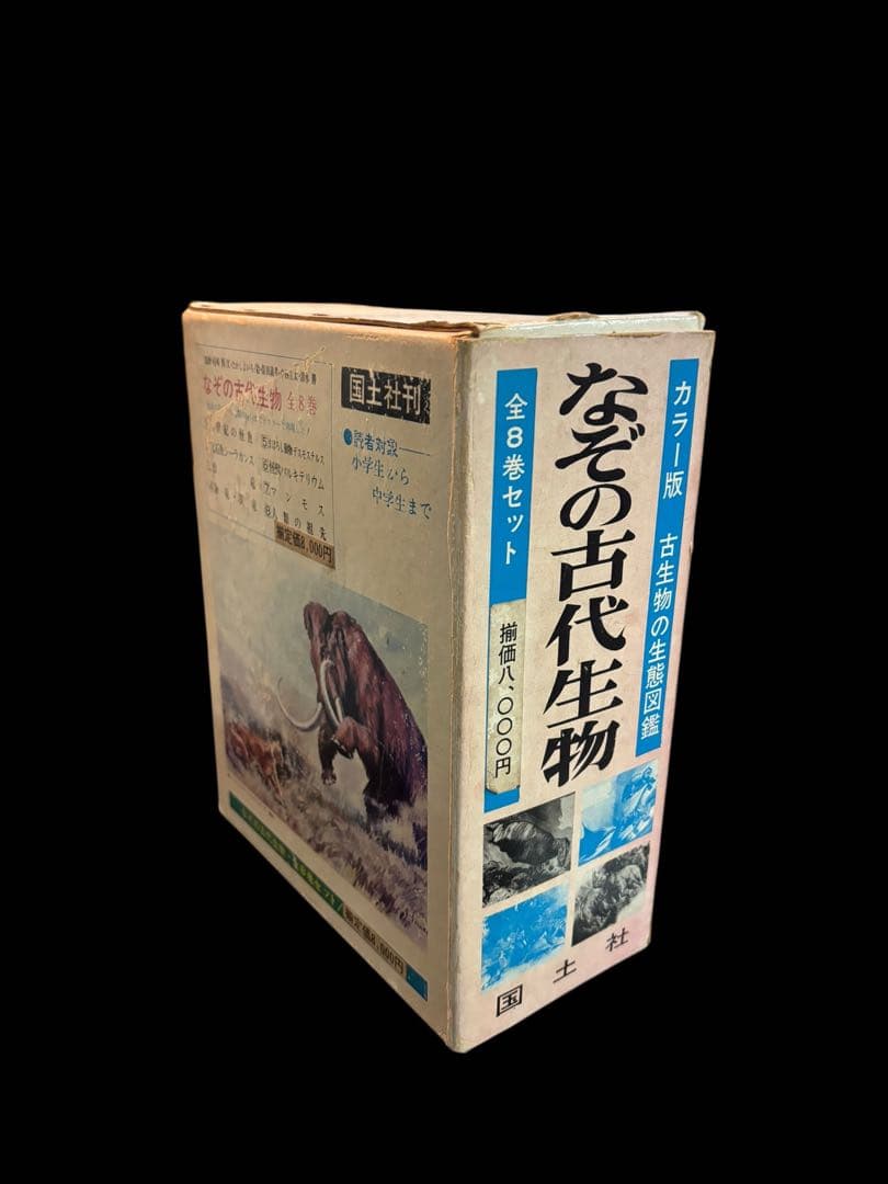 m*g様 なぞの古代生物 国土社 全8巻セット カラー版 古生物の生態図鑑
