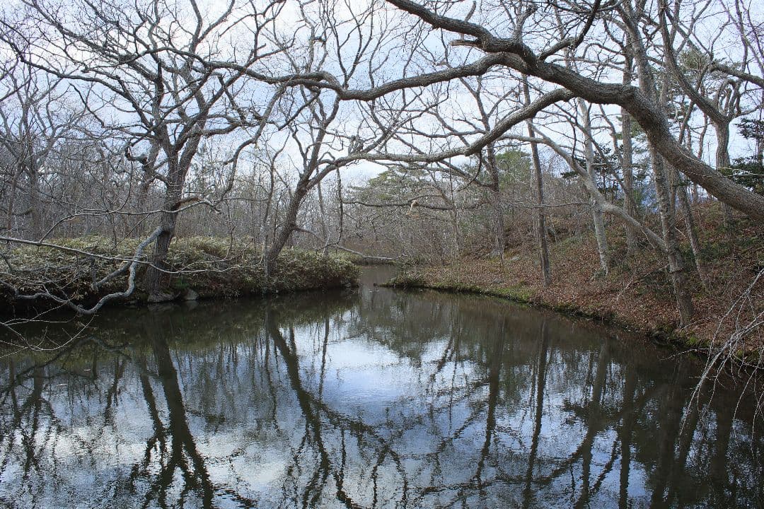 《希少》KINO PRECISION KIRON 28mm F2 MC【良品】