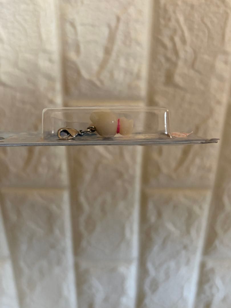 希少 ご当地キティ【北海道限定】4点セット 雪うさぎ 根付 ファスナー