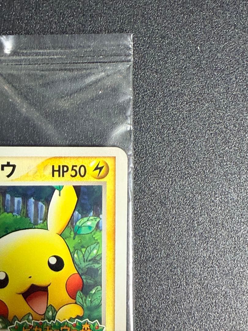 未開封』ポケパークのピカチュウ ピカチュウの森（2005年） ポケモン