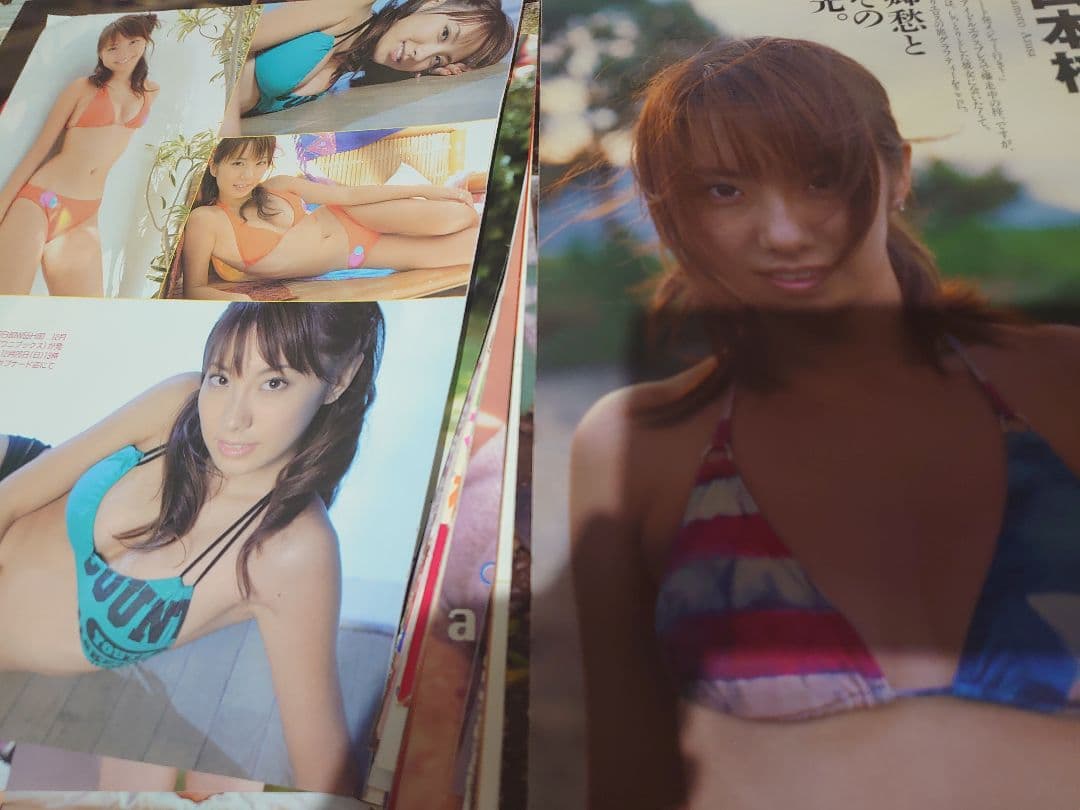 【大量】グラビアアイドル・山本梓さん 雑誌切り抜き