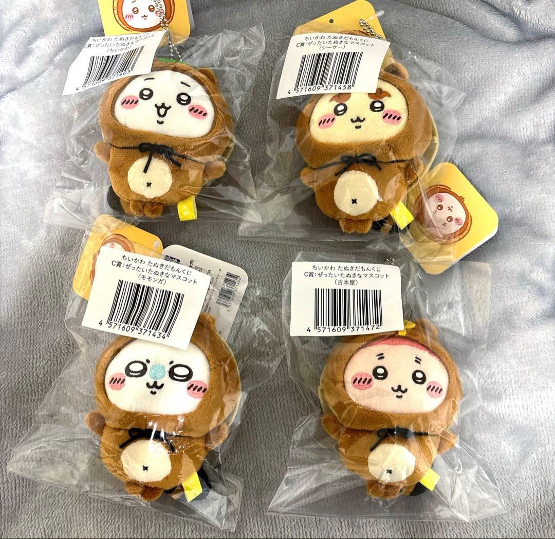 ちいかわ たぬきだもん くじ C賞 ちいかわ 古本屋さん モモンガ