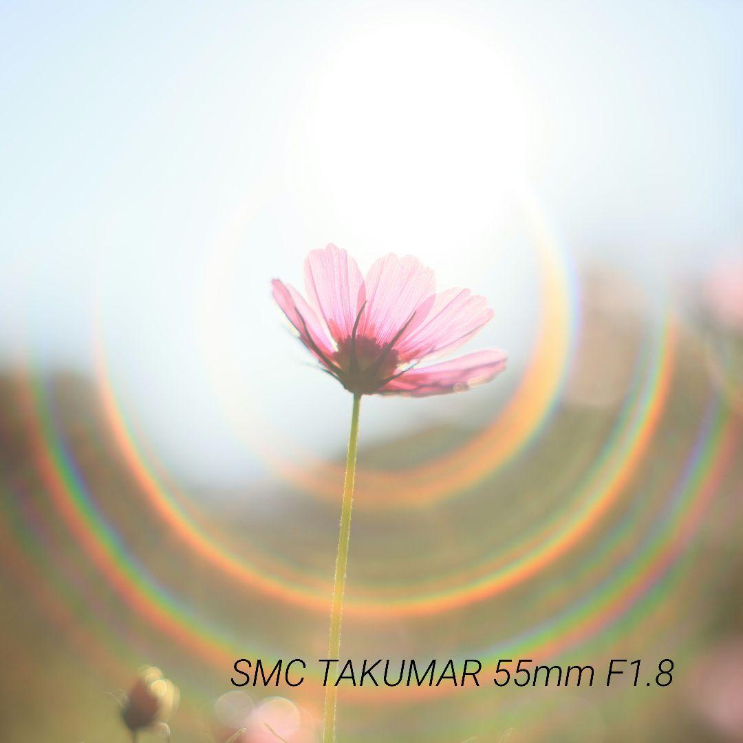 レンズ(単焦点) SMC TAKUMAR 55mm F1.8 オールドレンズ】「ペンタックス スーパータクマー55mm F1.8」と