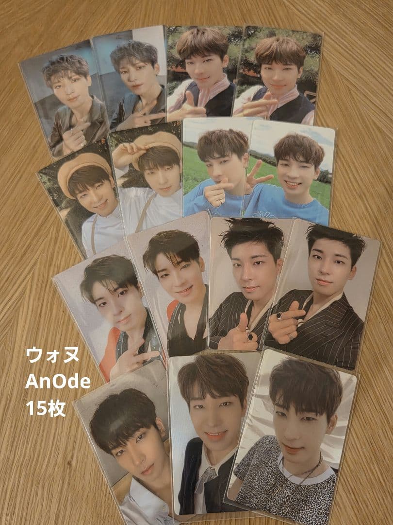 SEVENTEEN セブチ ウォヌ AnOde トレカ15枚 - メルカリ
