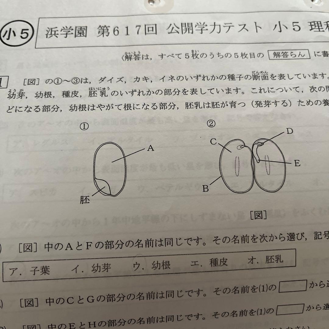 2024年度 浜学園小5 公開学力テスト 理科1年分 - メルカリ