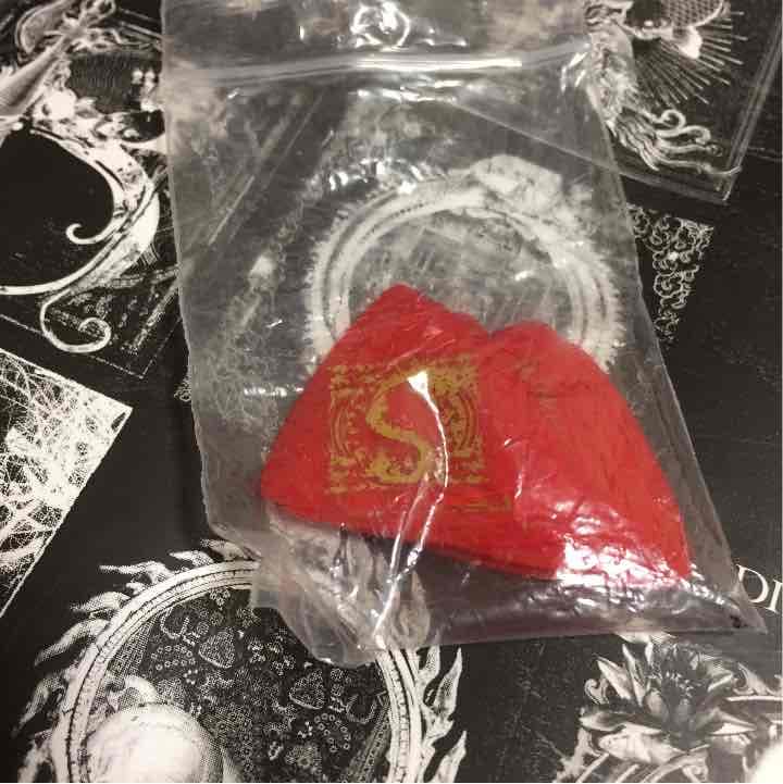 DIR EN GREY  ピック 敏弥