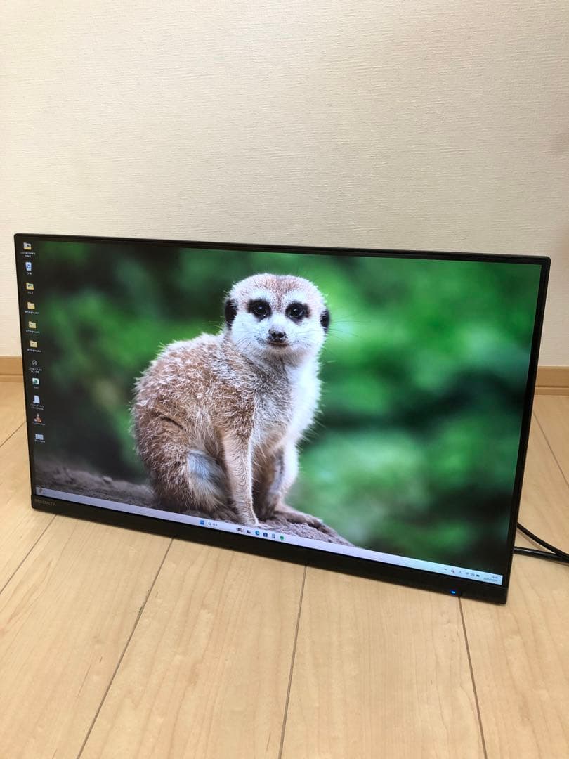 IO-DATA 高解像度LEDディスプレイLCD-MQ241XDB ＋壁掛アーム LCD-MQ241XDB | 広視野角ADSパネル採用＆WQHD対応23.8型ワイド液晶