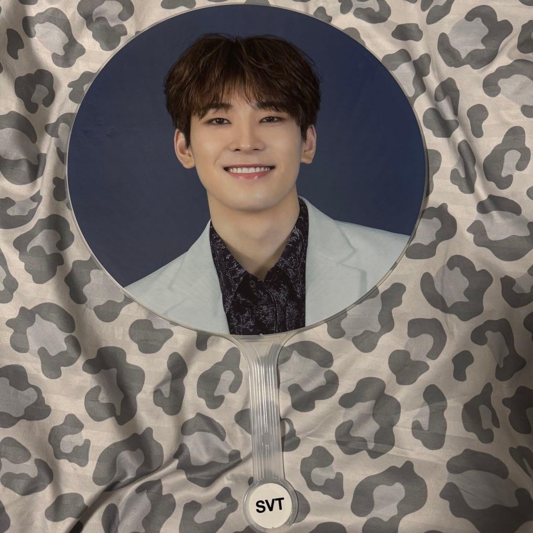 SEVENTEEN セブチ ウォヌ 団扇 うちわ 18本まとめ売り